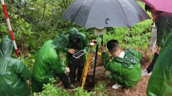 【光明网】国家林草局我国首次实现以国土三调为统一底版森林草原湿地资源全覆盖监测【2022-4-26】